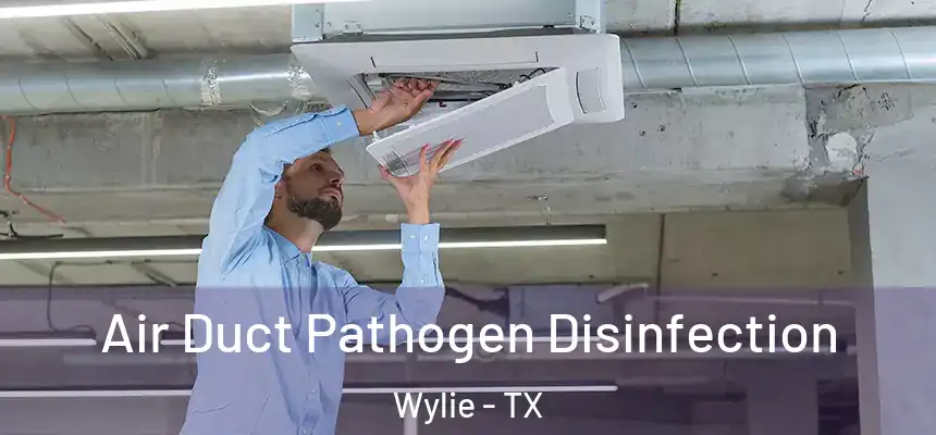  Air Duct Pathogen Disinfection Wylie - TX