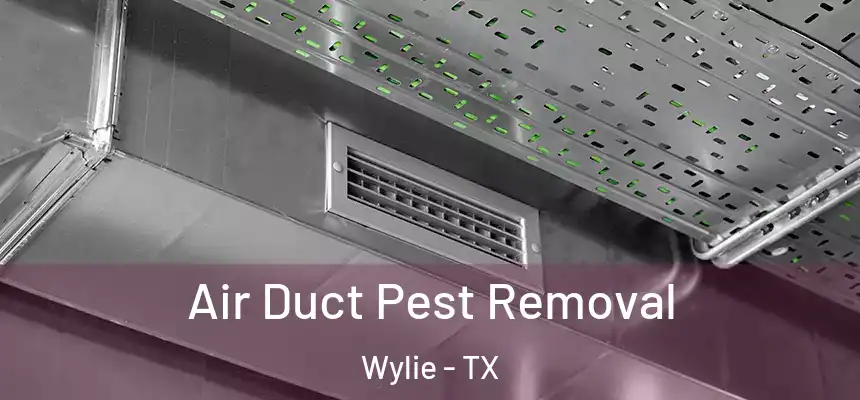  Air Duct Pest Removal Wylie - TX