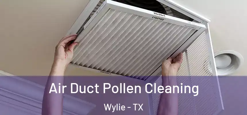 Air Duct Pollen Cleaning Wylie - TX