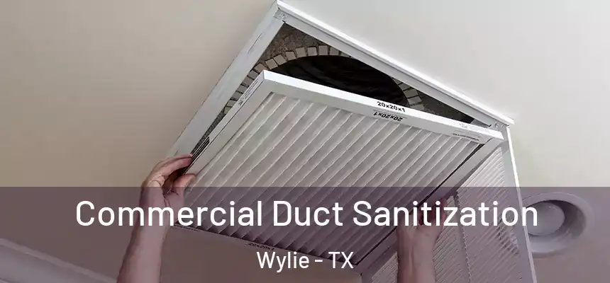  Commercial Duct Sanitization Wylie - TX
