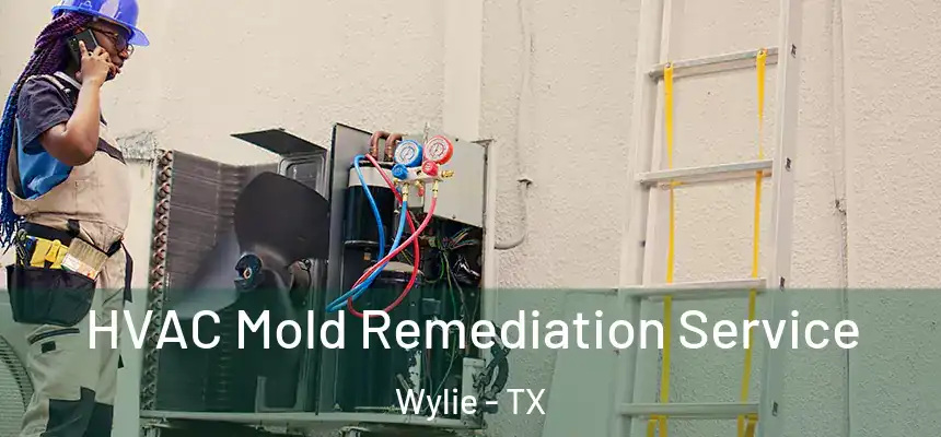  HVAC Mold Remediation Service Wylie - TX