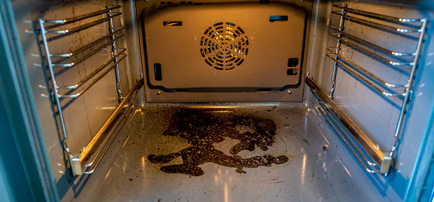 Our Dryer Vent Mold Cleaning Services in Wylie, TX