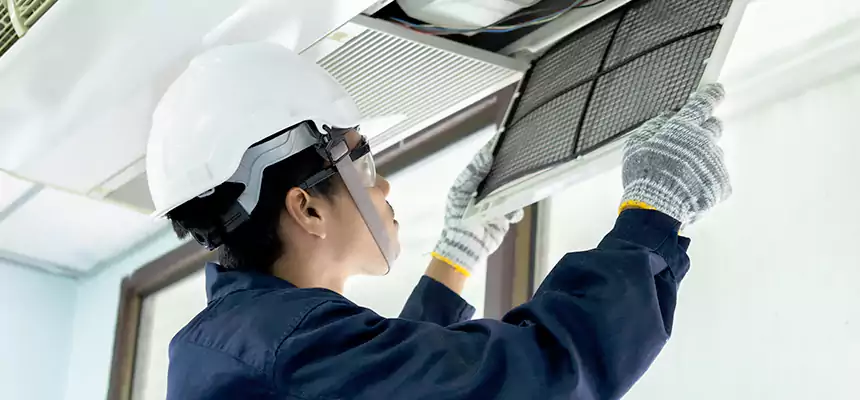 Our Mold & Mildew Removal from Air Ducts Services in Wylie, TX