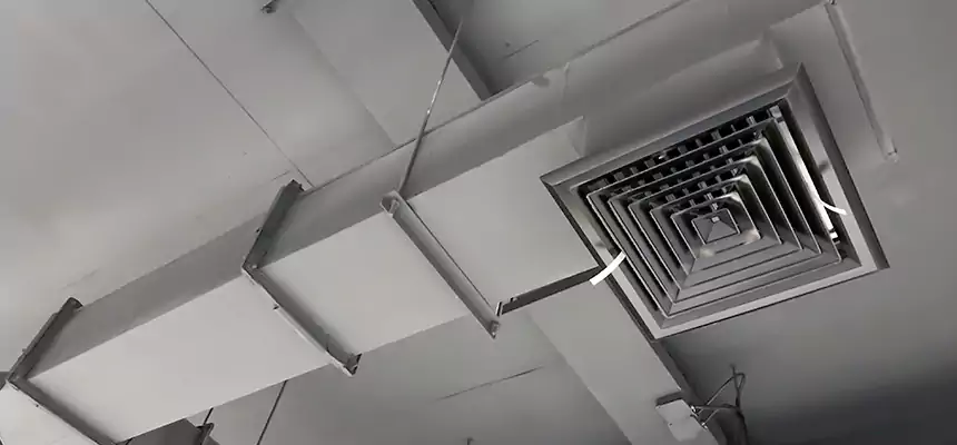 Our Rodent Droppings In Vents Services in Wylie, TX