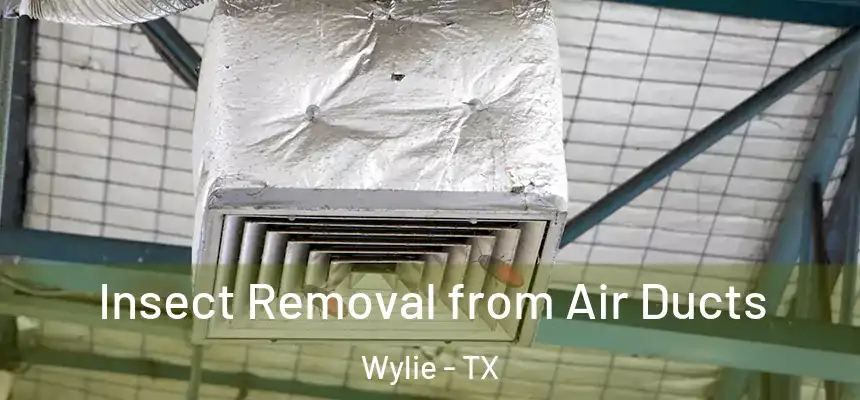  Insect Removal from Air Ducts Wylie - TX