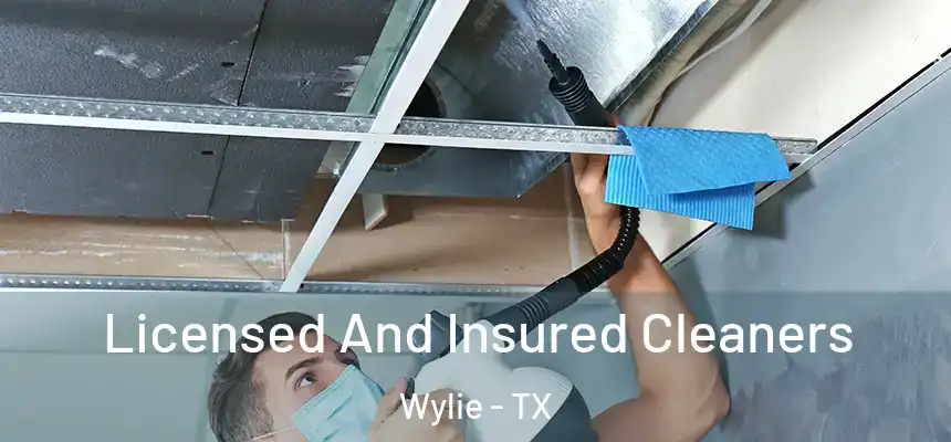  Licensed And Insured Cleaners Wylie - TX