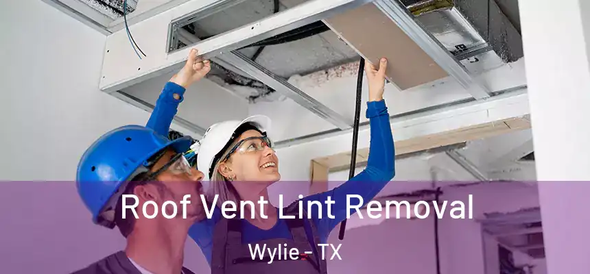  Roof Vent Lint Removal Wylie - TX