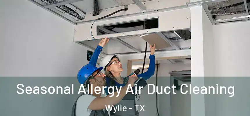  Seasonal Allergy Air Duct Cleaning Wylie - TX