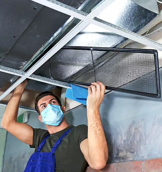 About Air Duct Bacteria Removal in Wylie