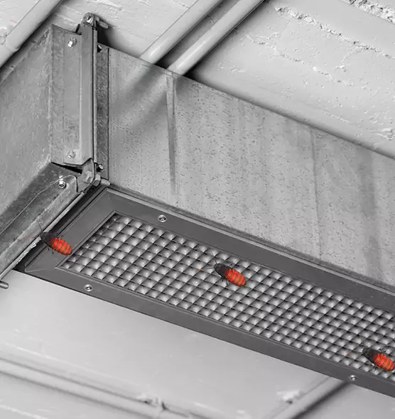 About Air Duct Cockroach Removal in Wylie, TX