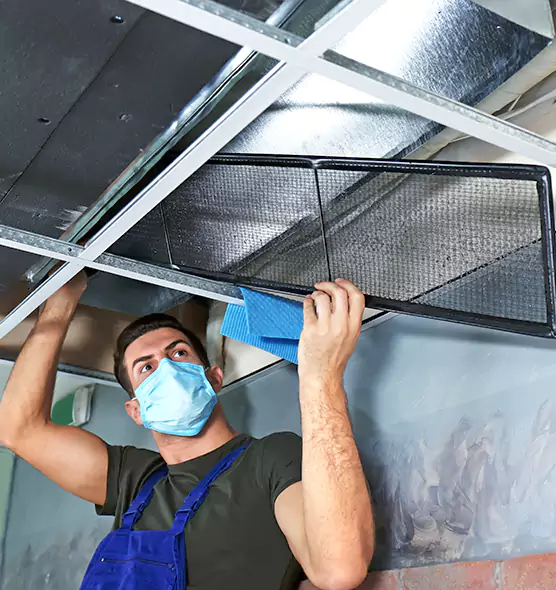 Professional Air Duct Pollen Cleaning in Wylie, TX