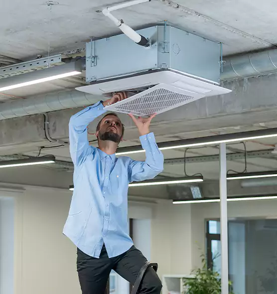 Advanced Rodent Droppings In Vents in Wylie, TX